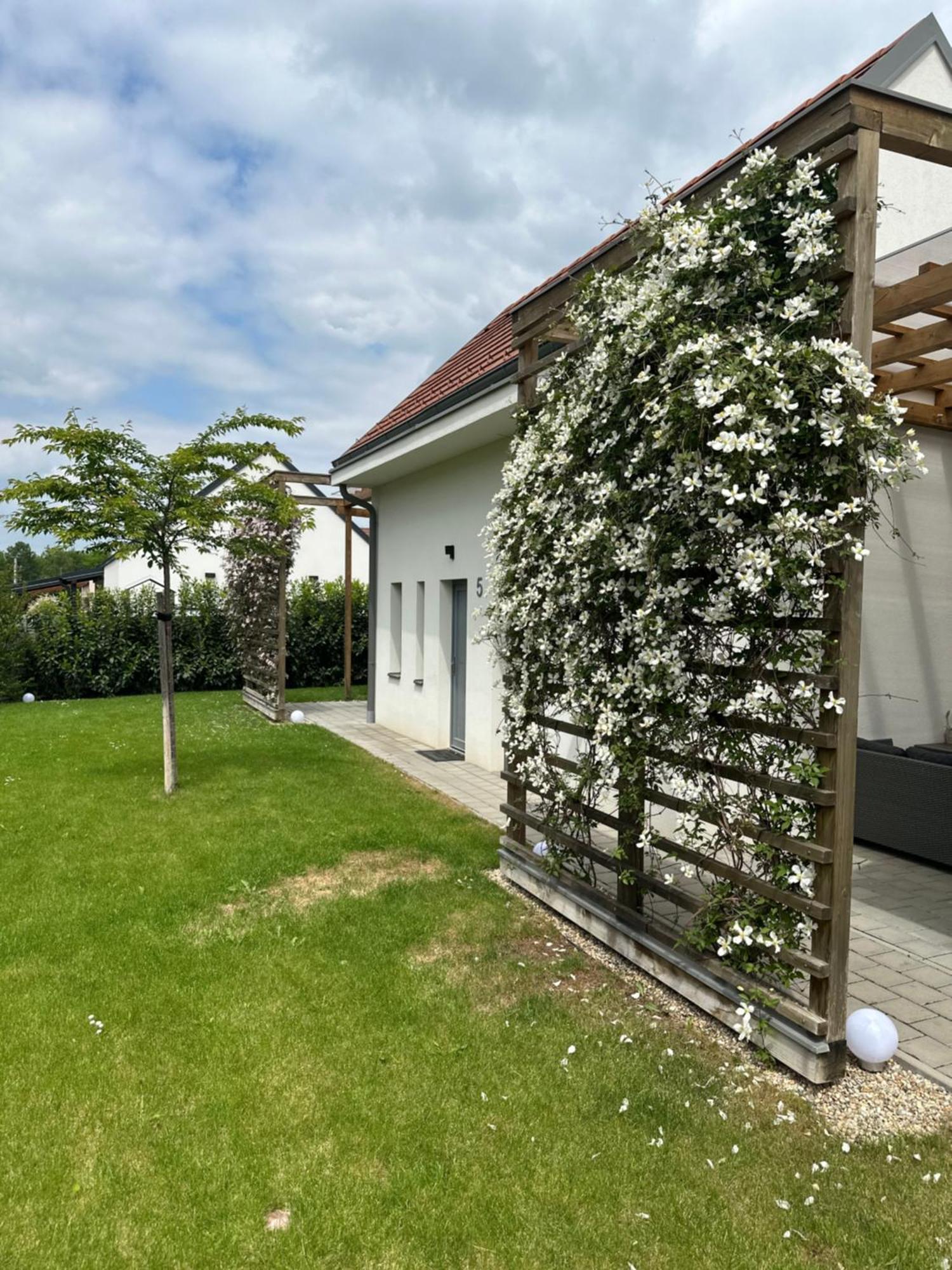 Dream Apartman Levél Kültér fotó